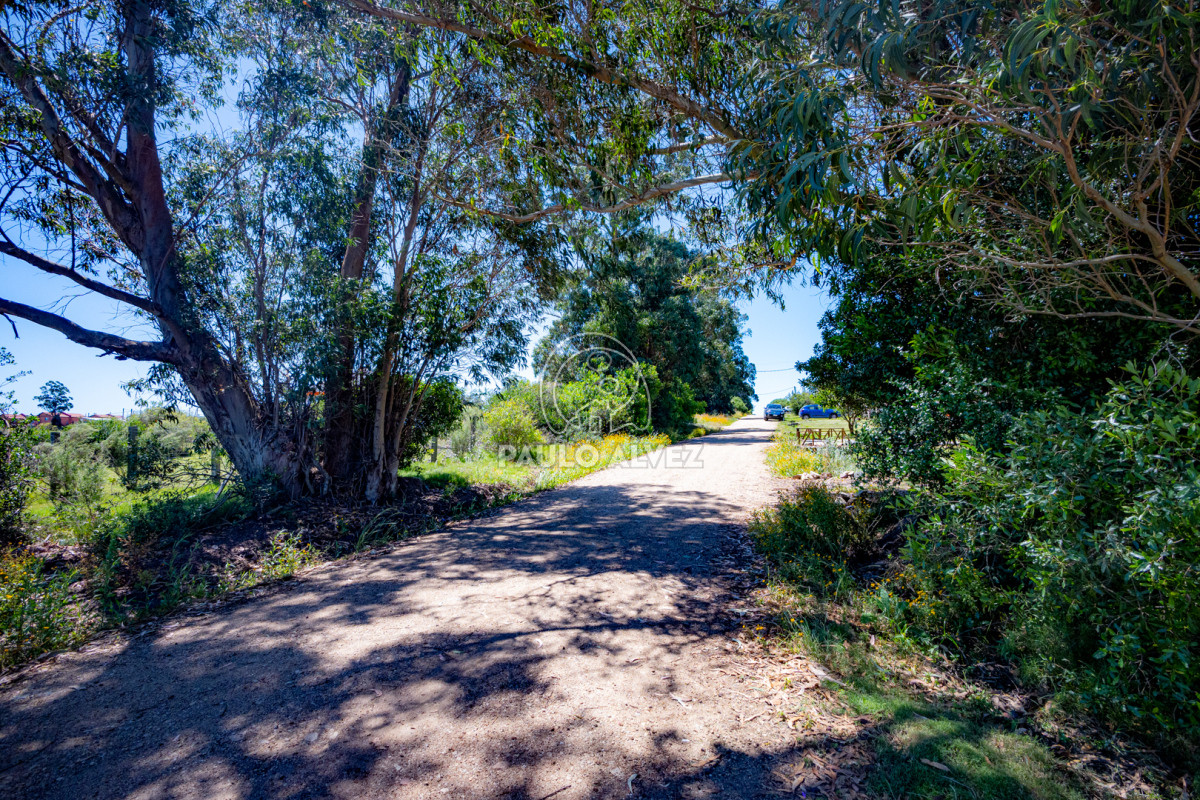Piriápolis - GoPunta - Portal Inmobiliario de Punta del Este - Maldonado