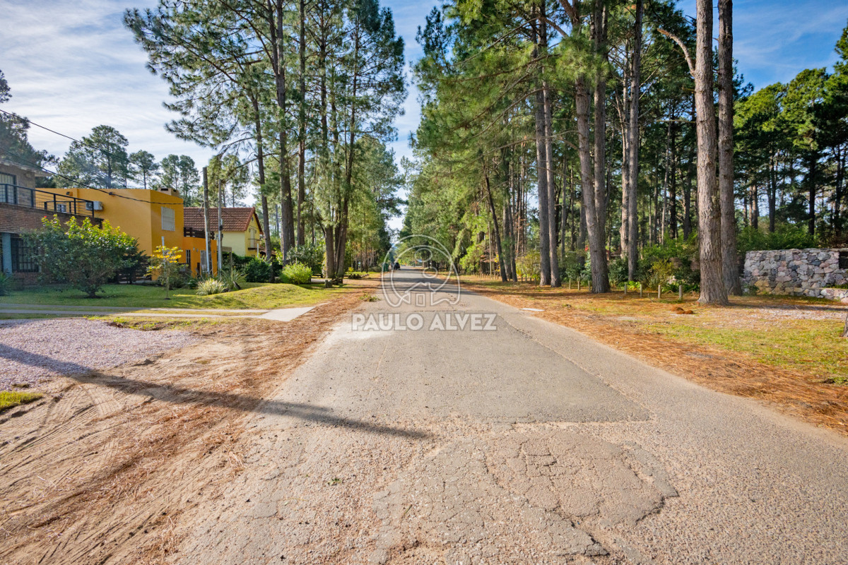 Portales - GoPunta - Portal Inmobiliario de Punta del Este - Maldonado
