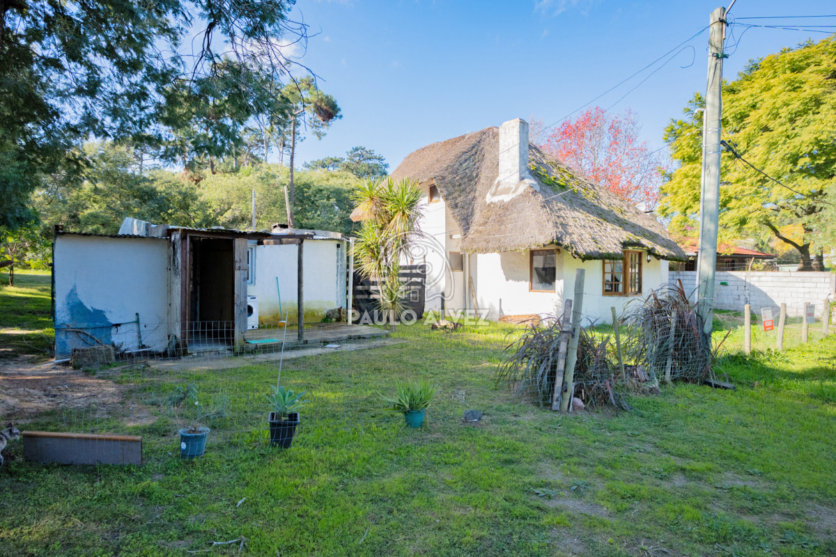 Piriápolis - GoPunta - Portal Inmobiliario de Punta del Este - Maldonado