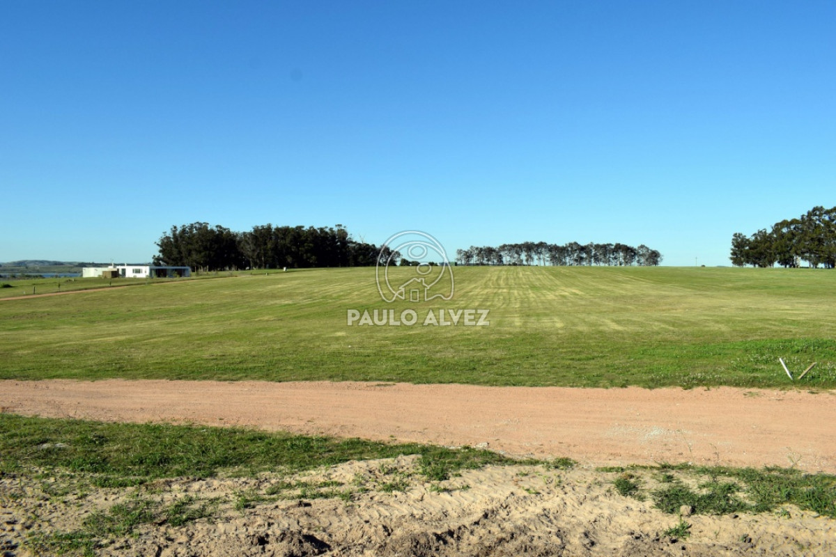 Laguna del Sauce - GoPunta - Portal Inmobiliario de Punta del Este - Maldonado