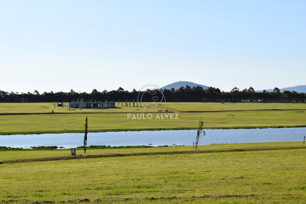 Laguna del Sauce - GoPunta - Portal Inmobiliario de Punta del Este - Maldonado