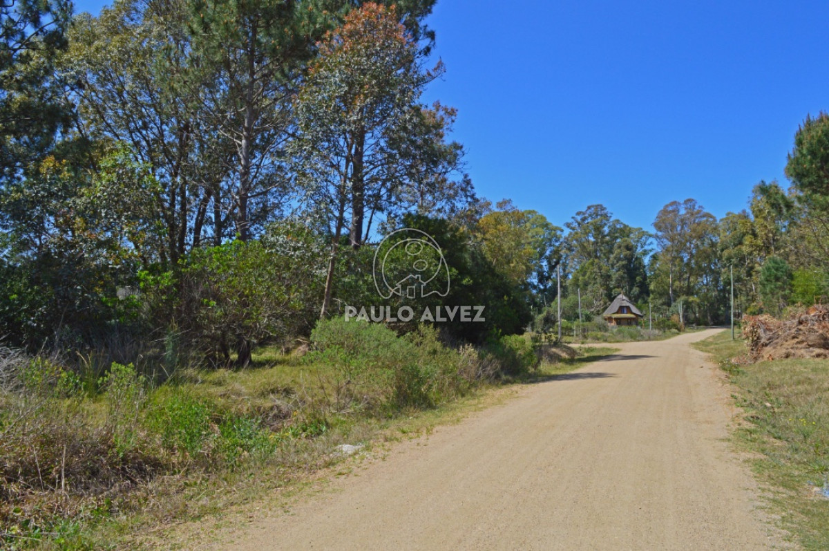 Punta Colorada - GoPunta - Portal Inmobiliario de Punta del Este - Maldonado