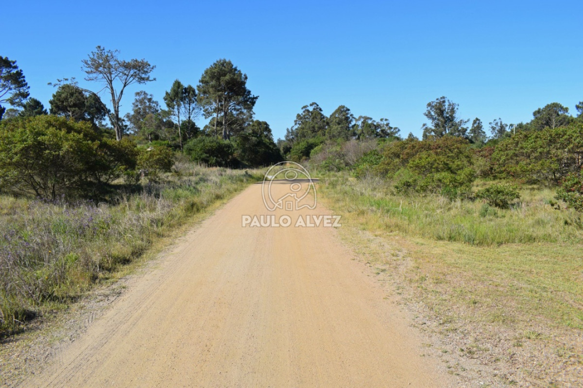 Piriápolis - GoPunta - Portal Inmobiliario de Punta del Este - Maldonado