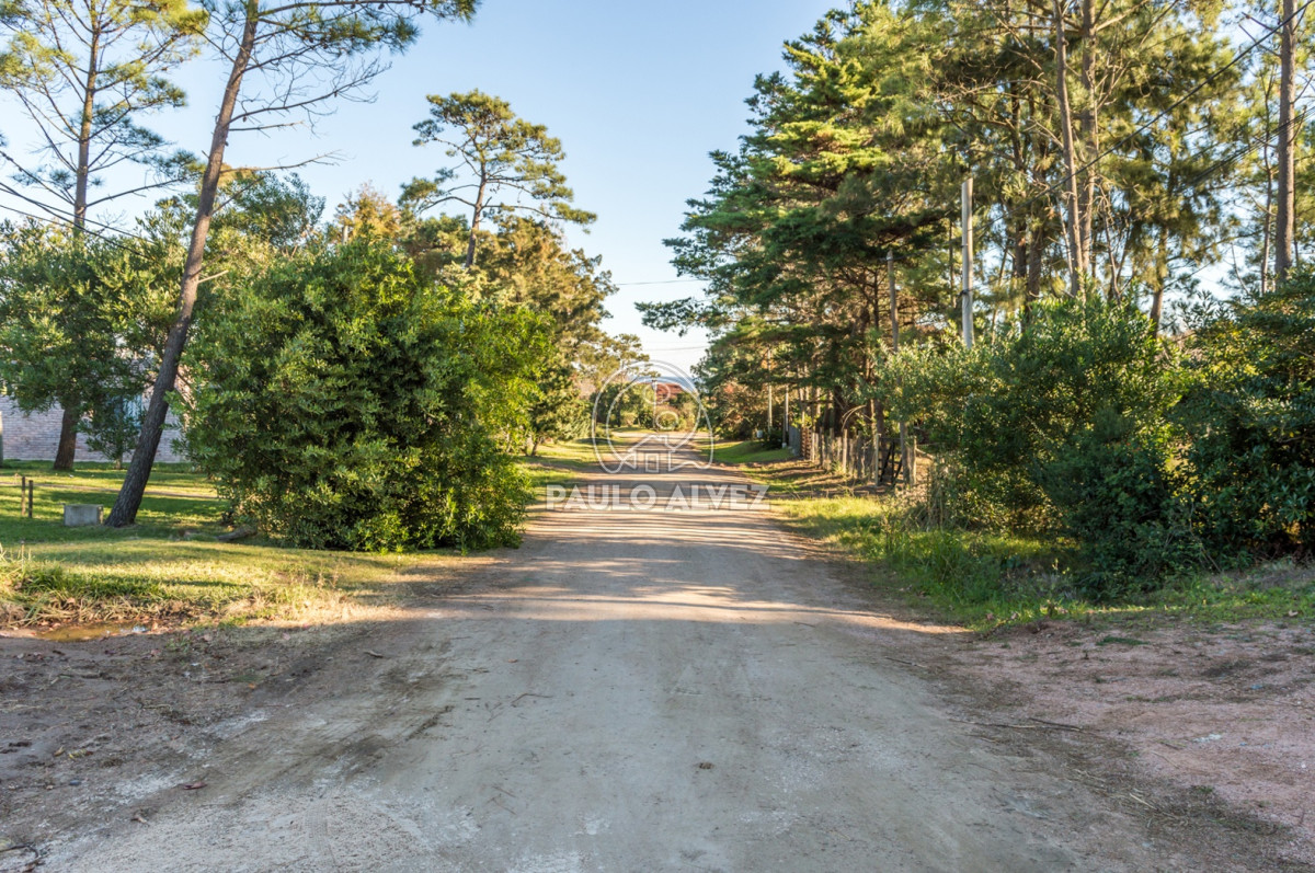 San Francisco - GoPunta - Portal Inmobiliario de Punta del Este - Maldonado