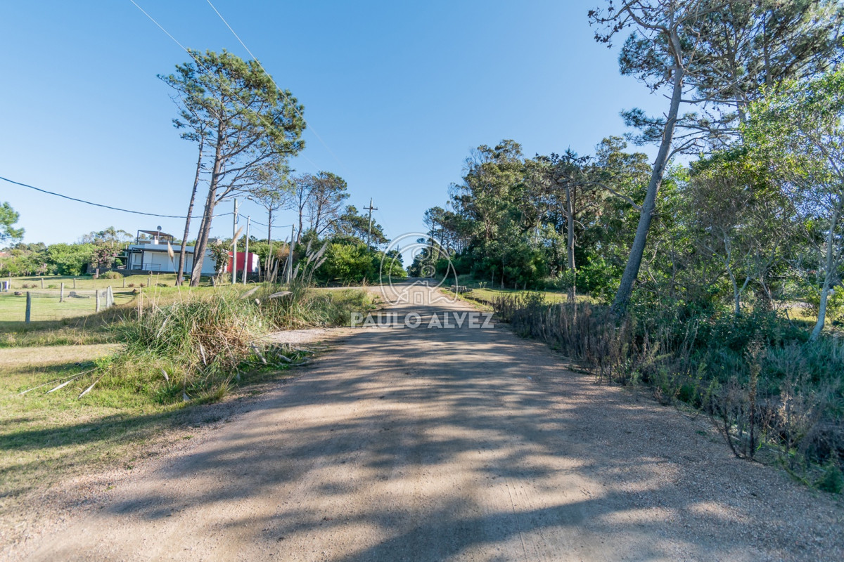 Punta Colorada - GoPunta - Portal Inmobiliario de Punta del Este - Maldonado