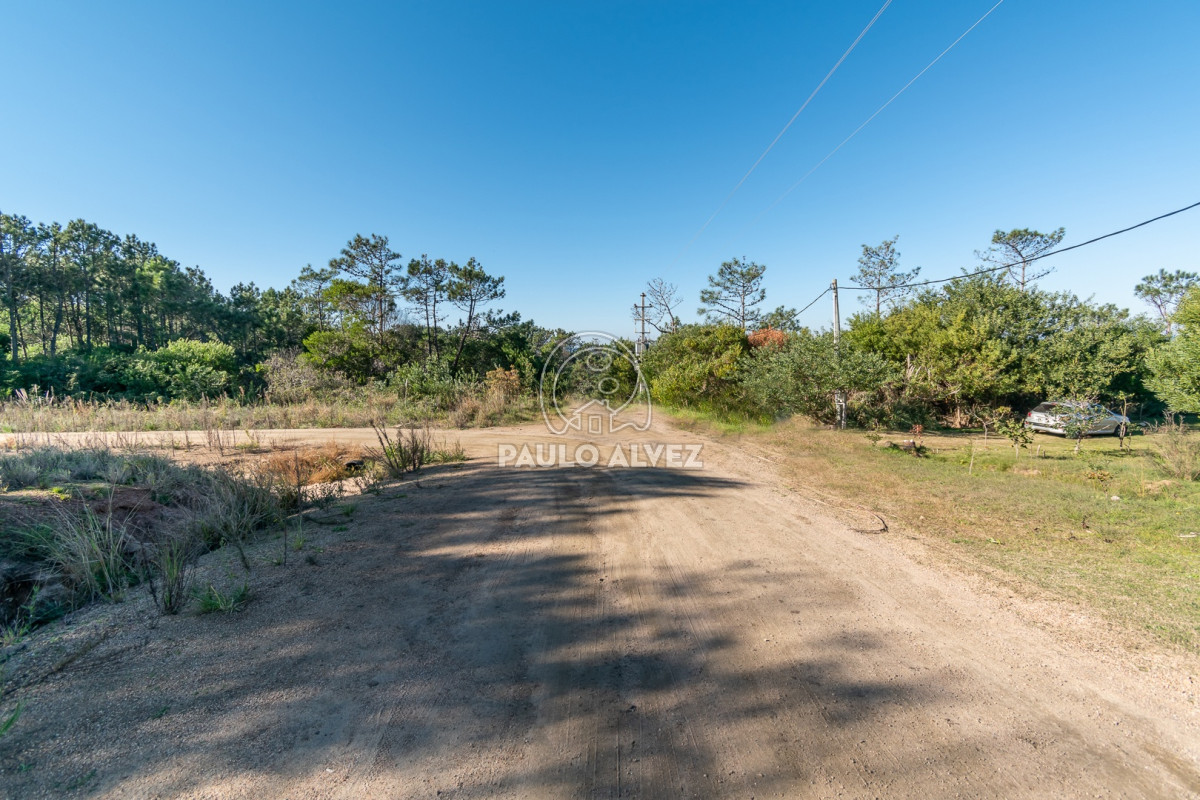 Punta Colorada - GoPunta - Portal Inmobiliario de Punta del Este - Maldonado