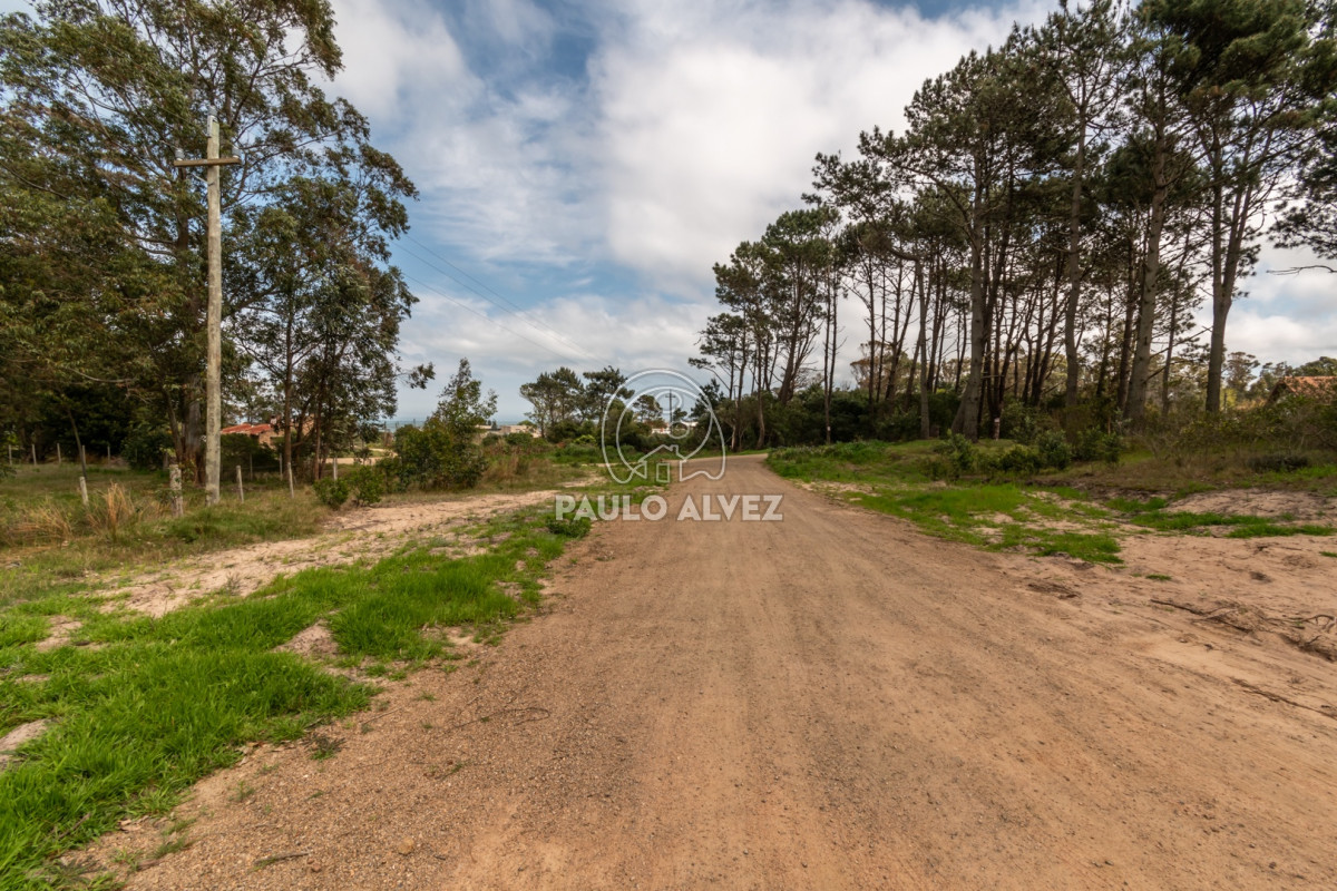 Punta Colorada - GoPunta - Portal Inmobiliario de Punta del Este - Maldonado