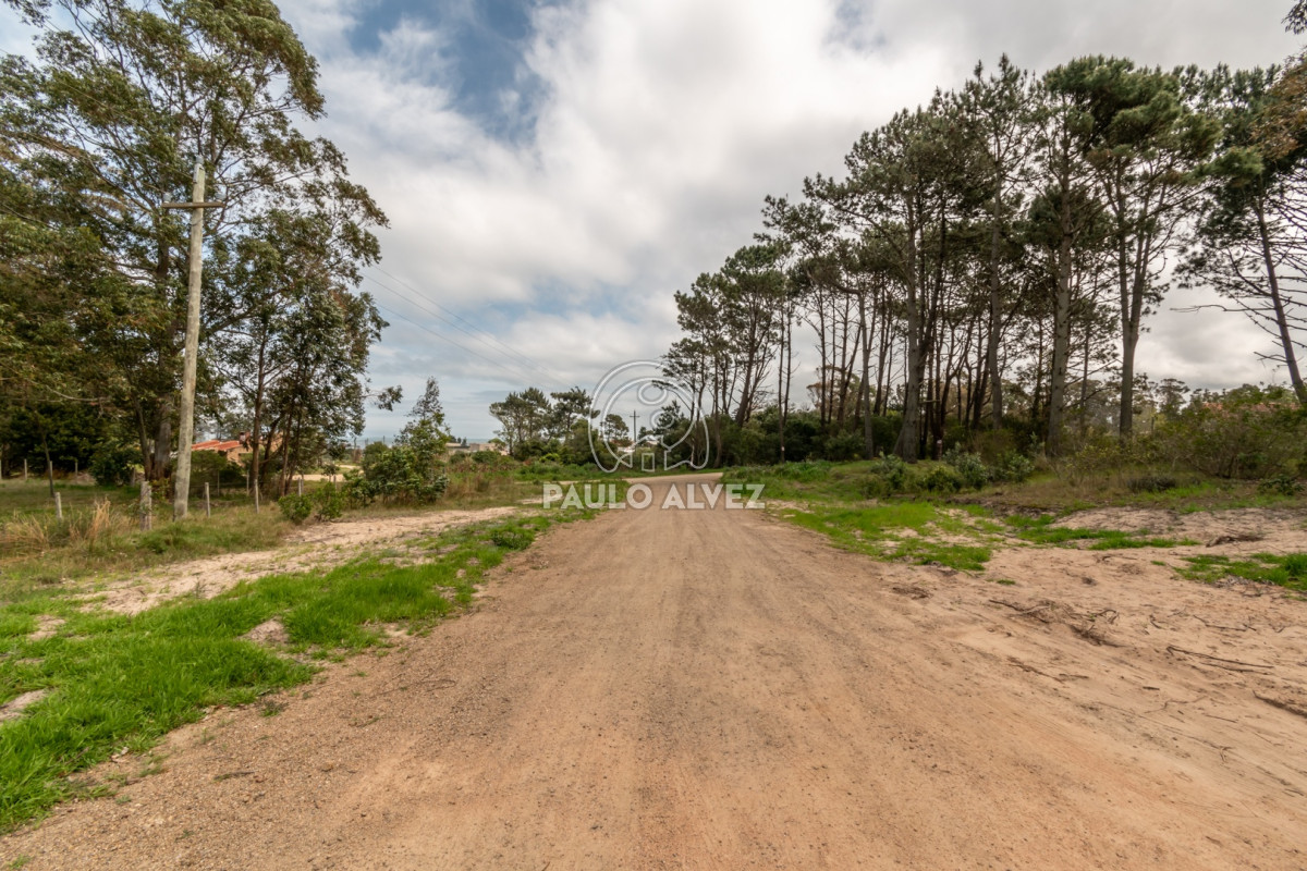 Punta Colorada - GoPunta - Portal Inmobiliario de Punta del Este - Maldonado