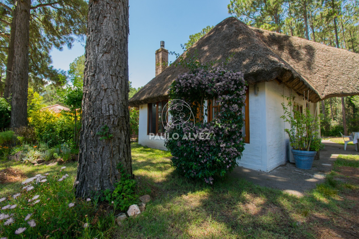 Piriápolis - GoPunta - Portal Inmobiliario de Punta del Este - Maldonado
