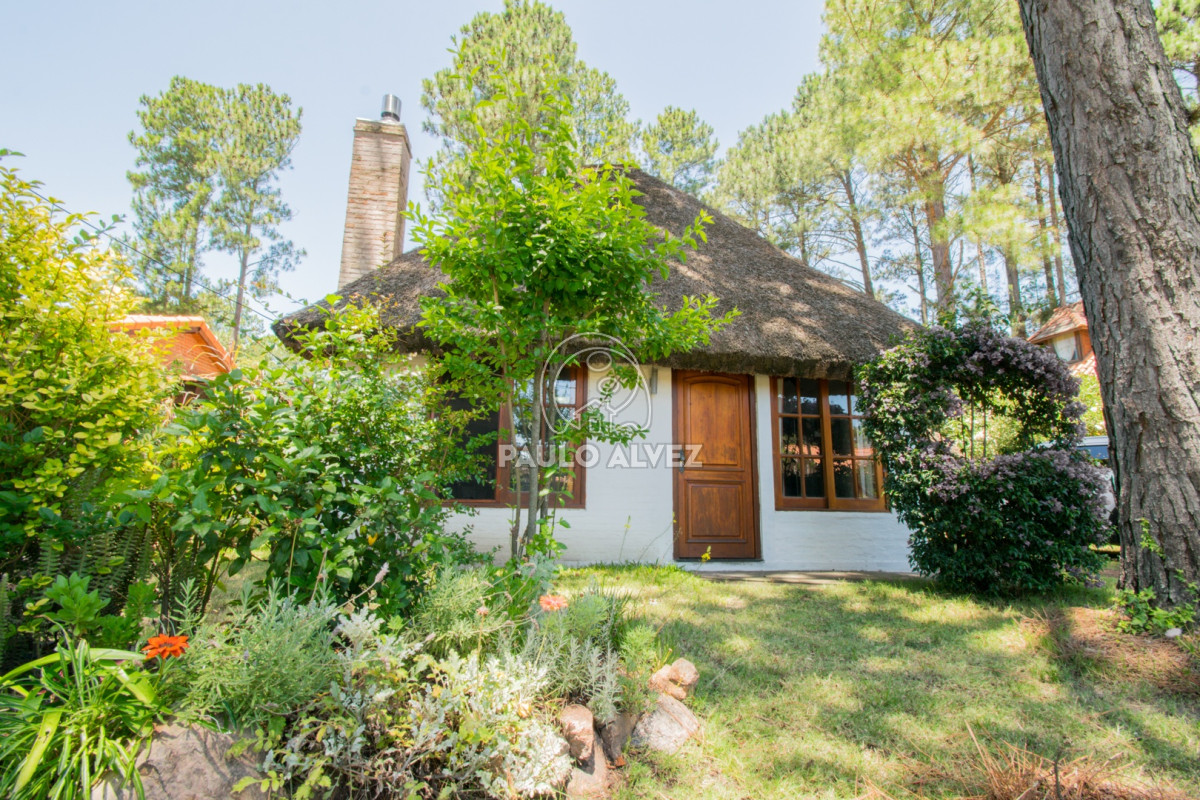 Piriápolis - GoPunta - Portal Inmobiliario de Punta del Este - Maldonado