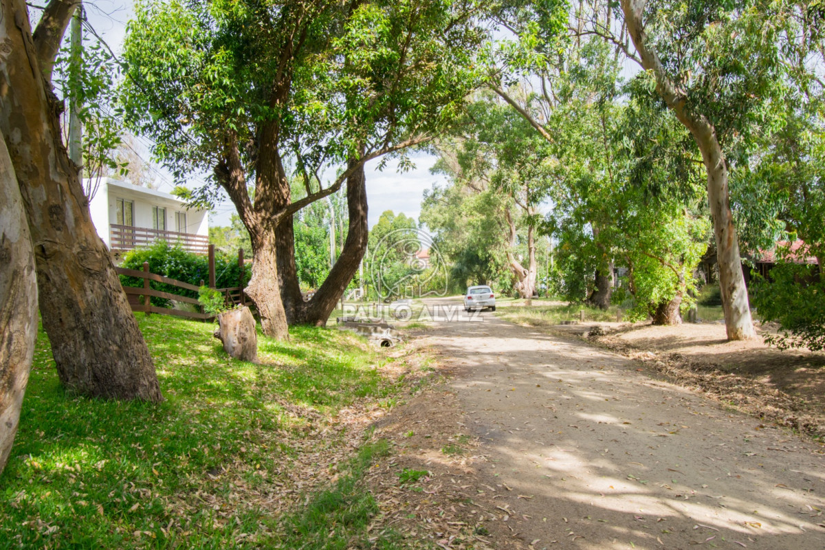 Piriápolis - GoPunta - Portal Inmobiliario de Punta del Este - Maldonado