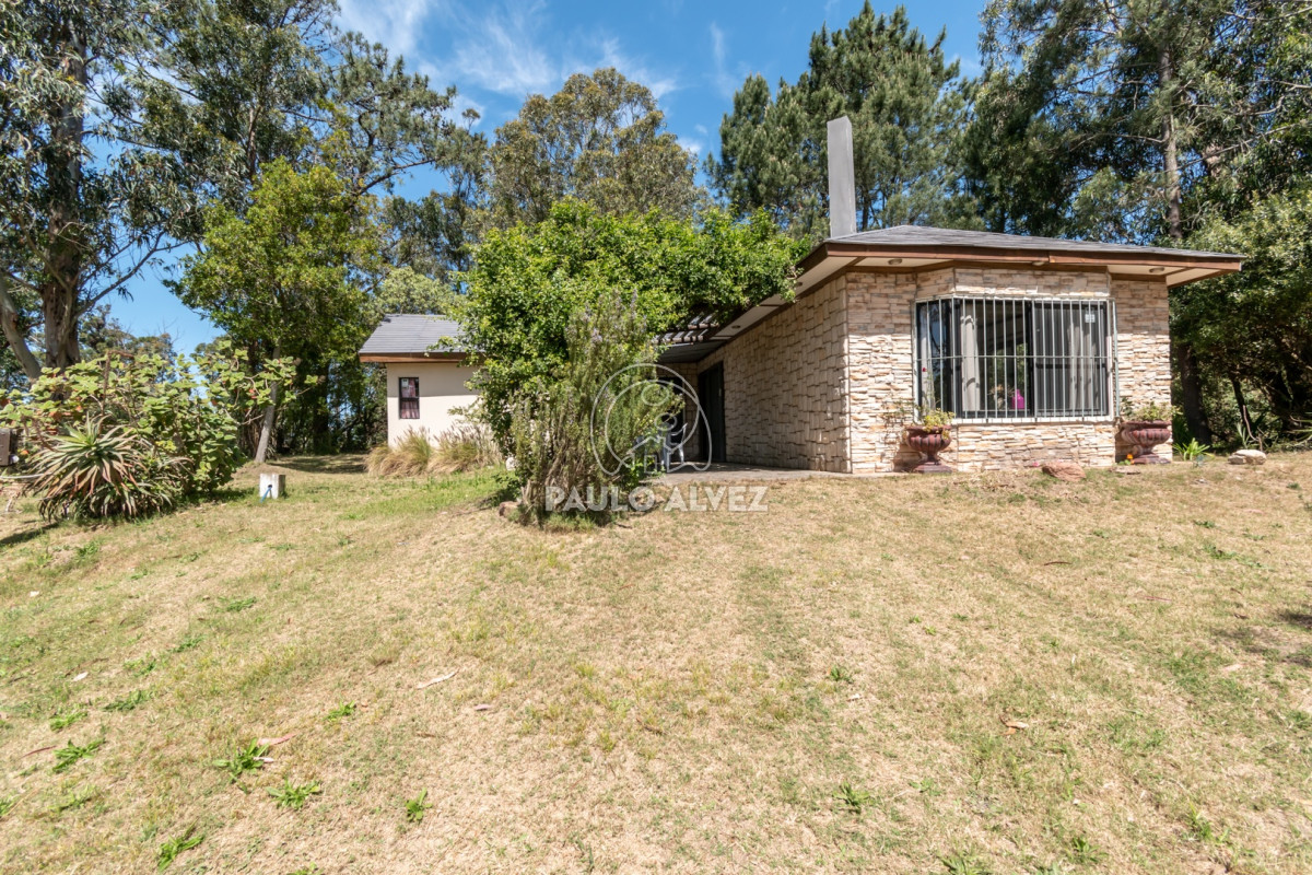 San Francisco - GoPunta - Portal Inmobiliario de Punta del Este - Maldonado