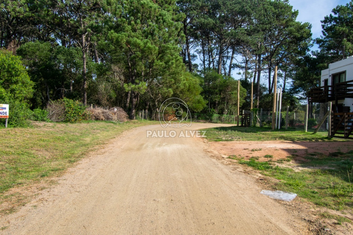 Piriápolis - GoPunta - Portal Inmobiliario de Punta del Este - Maldonado