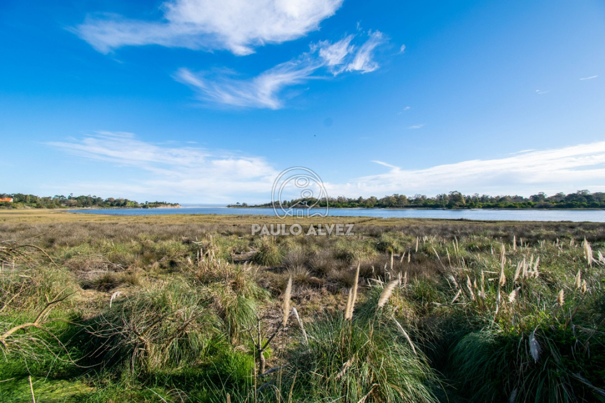 Piriápolis - GoPunta - Portal Inmobiliario de Punta del Este - Maldonado