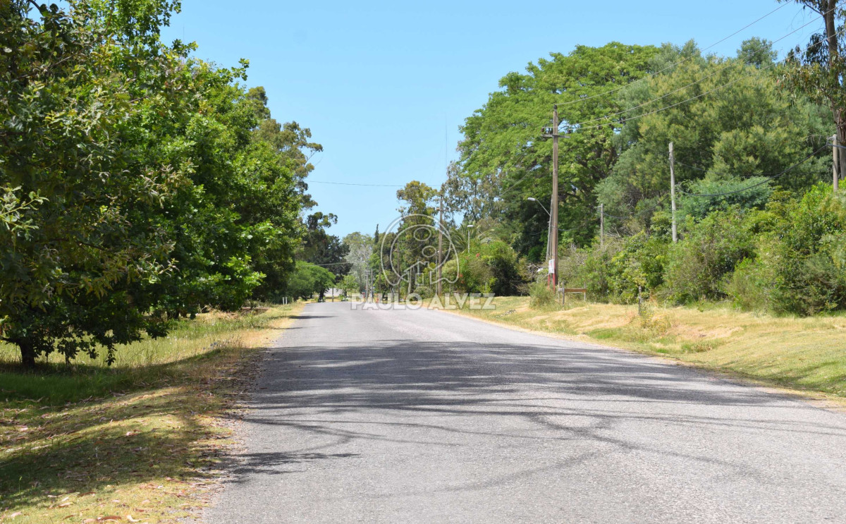 Piriápolis - GoPunta - Portal Inmobiliario de Punta del Este - Maldonado