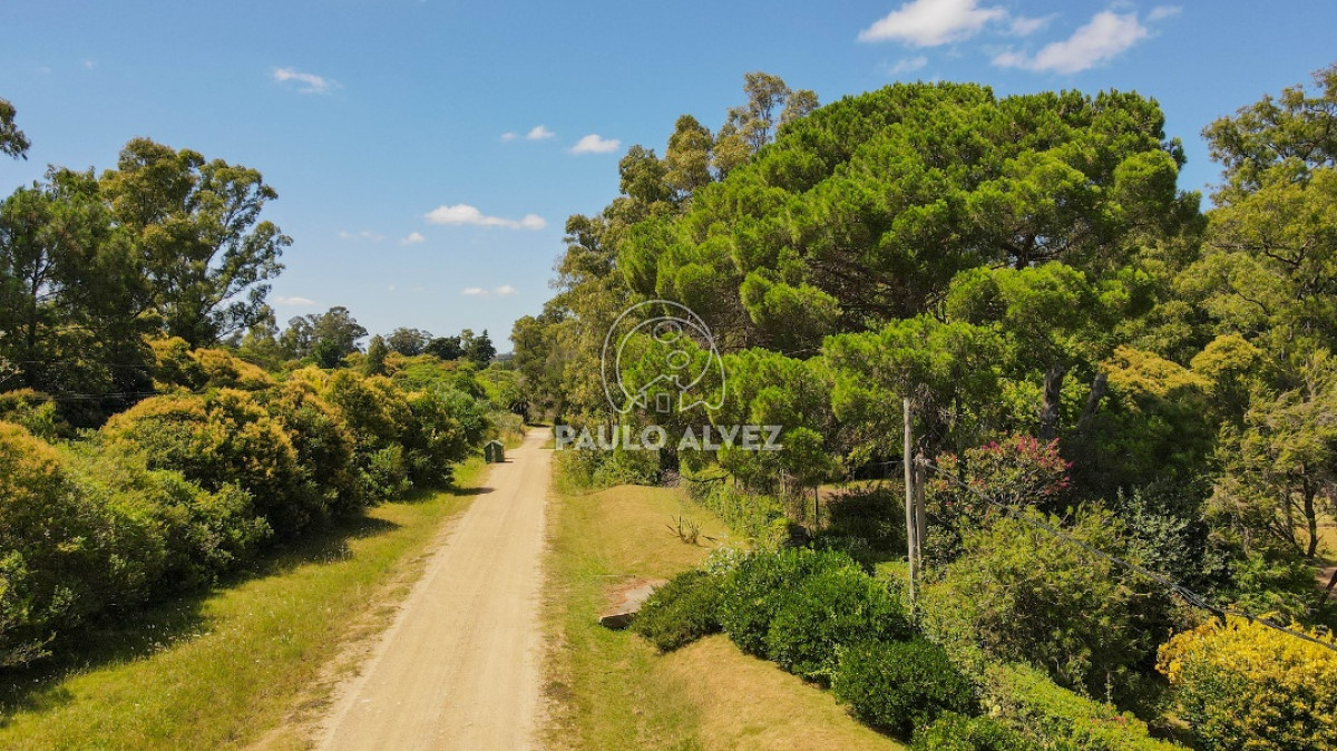 Piriápolis - GoPunta - Portal Inmobiliario de Punta del Este - Maldonado