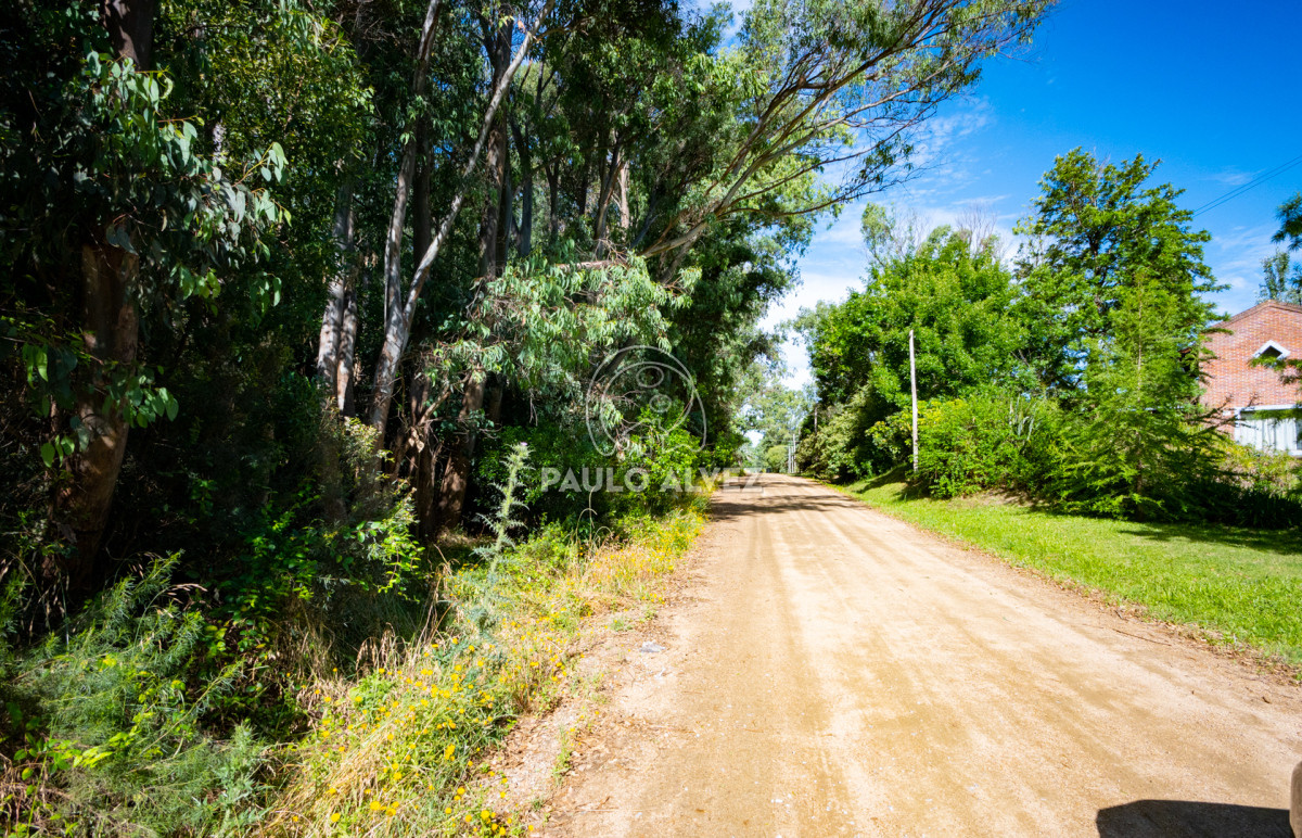 Piriápolis - GoPunta - Portal Inmobiliario de Punta del Este - Maldonado