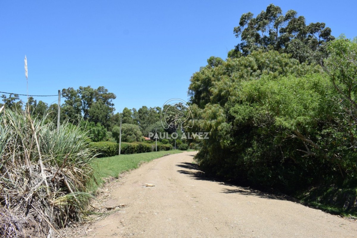 Piriápolis - GoPunta - Portal Inmobiliario de Punta del Este - Maldonado