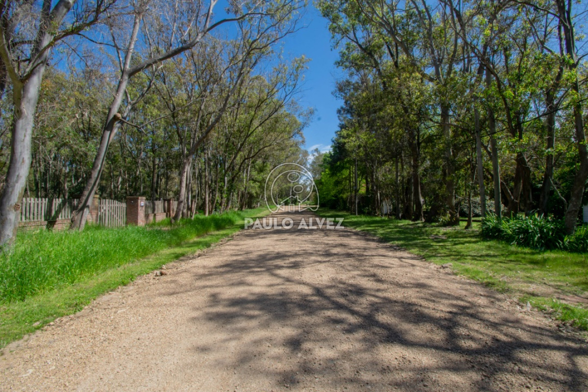 Piriápolis - GoPunta - Portal Inmobiliario de Punta del Este - Maldonado