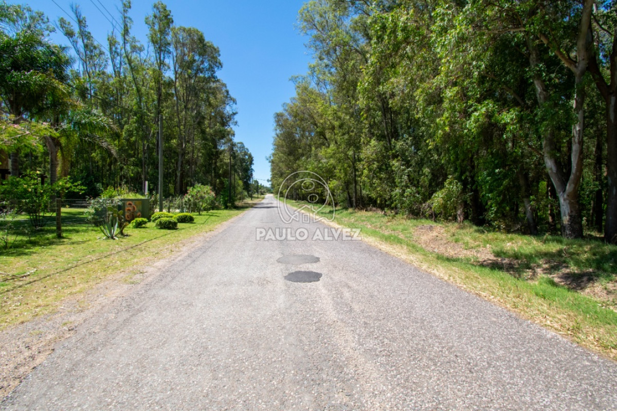 Piriápolis - GoPunta - Portal Inmobiliario de Punta del Este - Maldonado