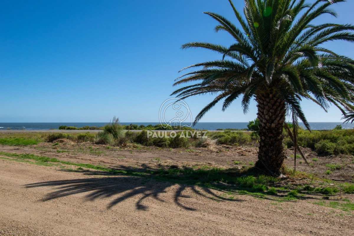 Piriápolis - GoPunta - Portal Inmobiliario de Punta del Este - Maldonado