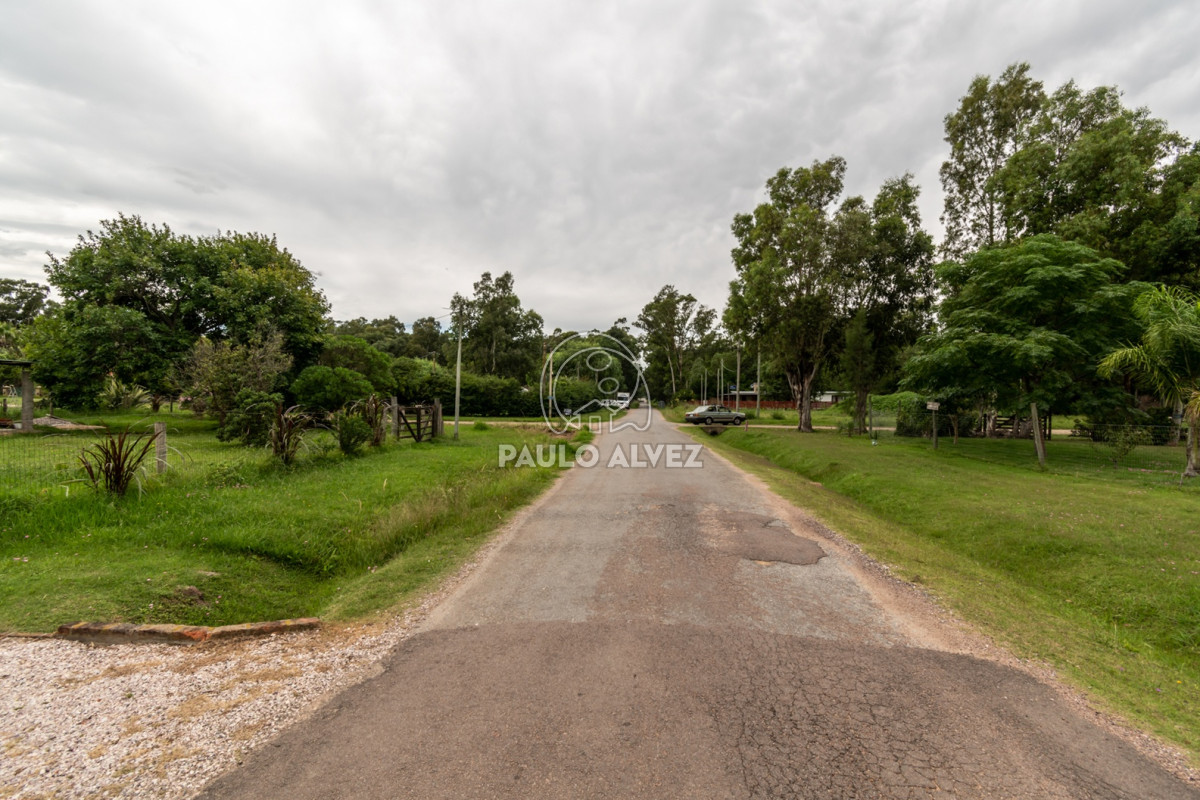 Piriápolis - GoPunta - Portal Inmobiliario de Punta del Este - Maldonado