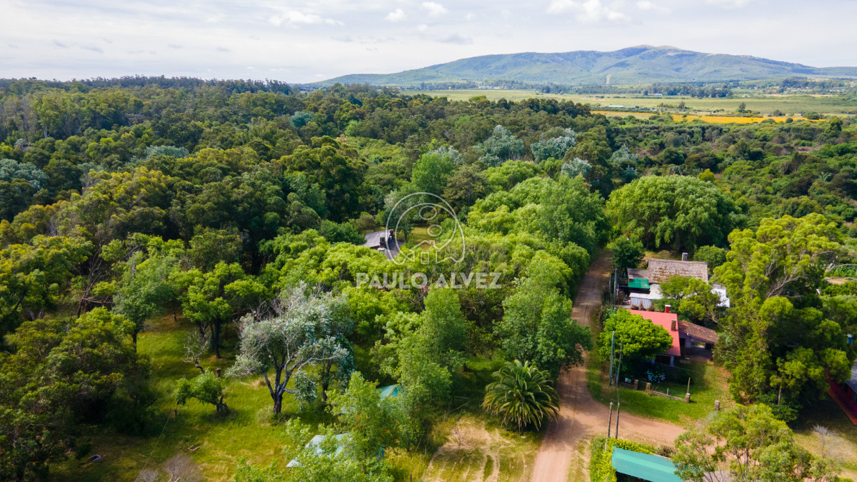 Piriápolis - GoPunta - Portal Inmobiliario de Punta del Este - Maldonado