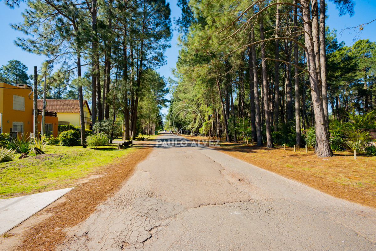 Portales - GoPunta - Portal Inmobiliario de Punta del Este - Maldonado