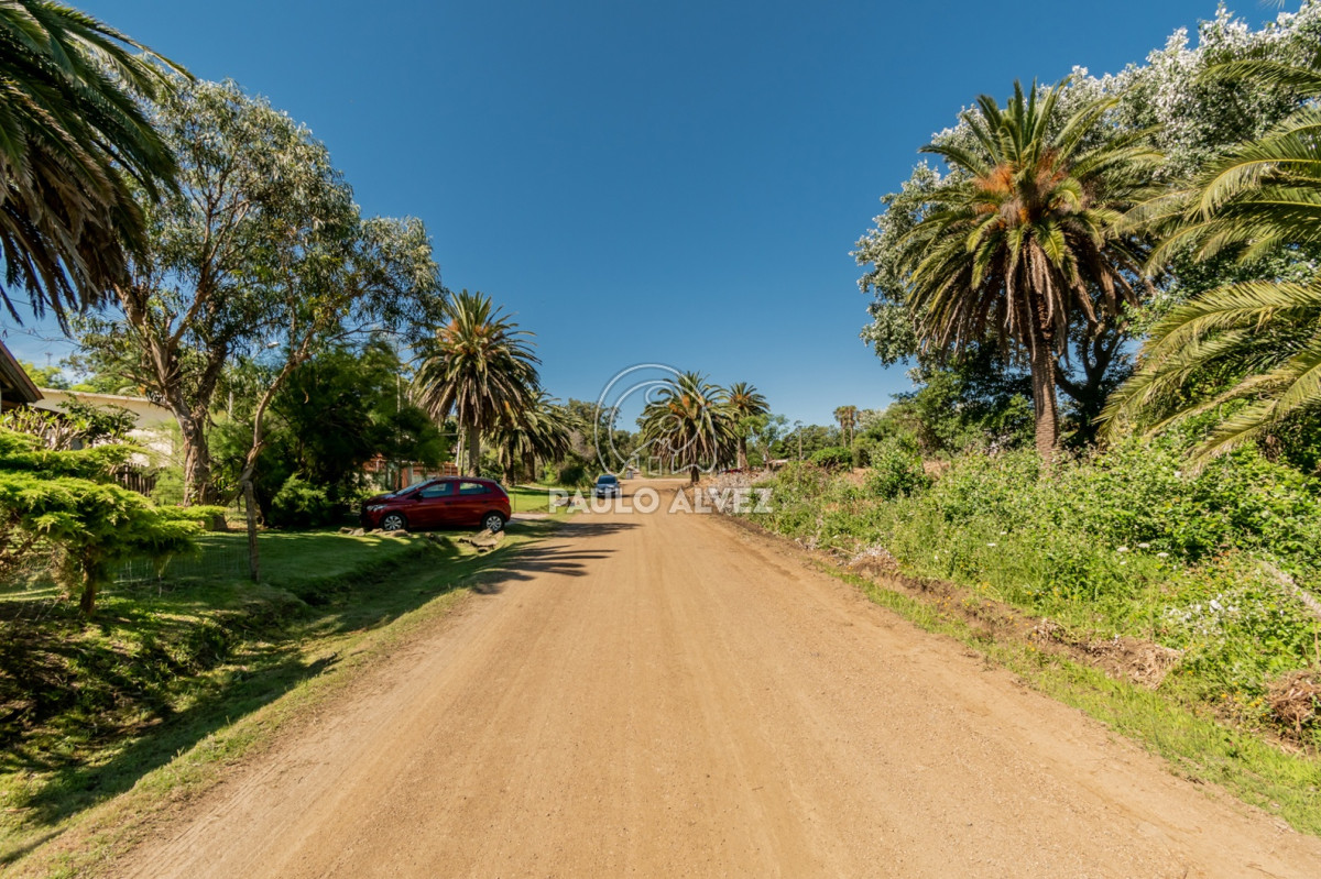San Francisco - GoPunta - Portal Inmobiliario de Punta del Este - Maldonado