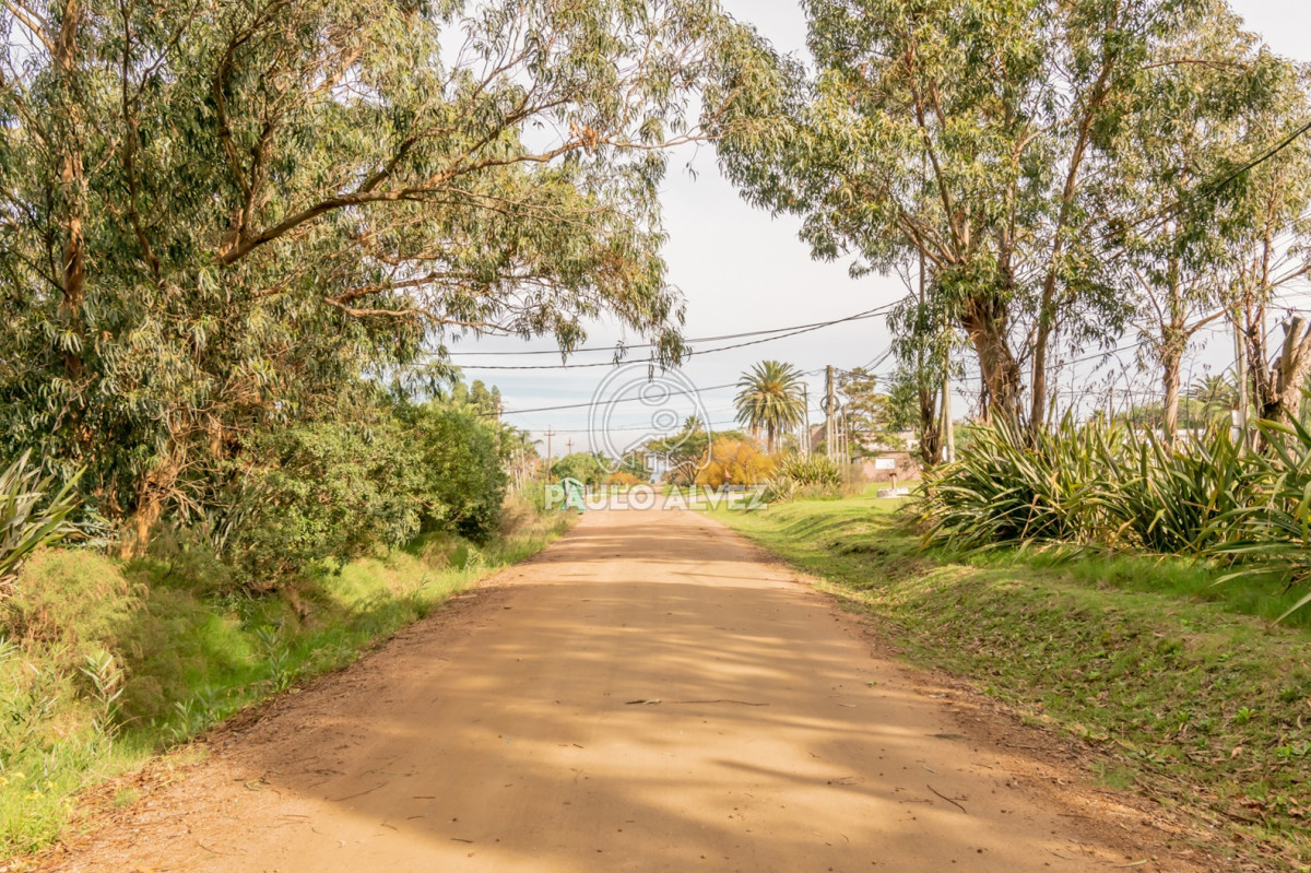 Punta Fria - GoPunta - Portal Inmobiliario de Punta del Este - Maldonado