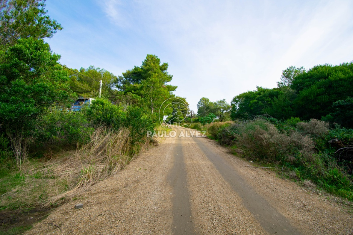 Piriápolis - GoPunta - Portal Inmobiliario de Punta del Este - Maldonado