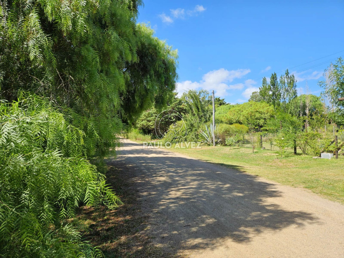 Piriápolis - GoPunta - Portal Inmobiliario de Punta del Este - Maldonado