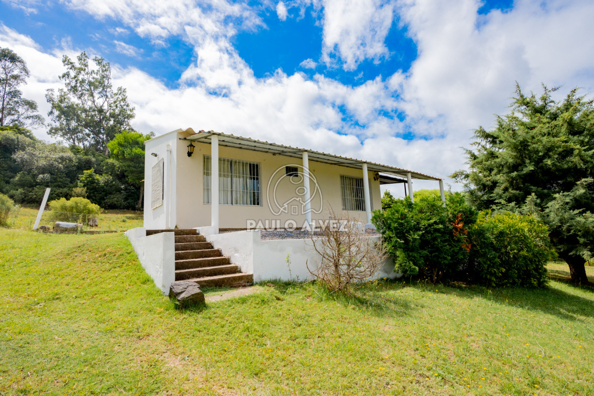 Piriápolis - GoPunta - Portal Inmobiliario de Punta del Este - Maldonado