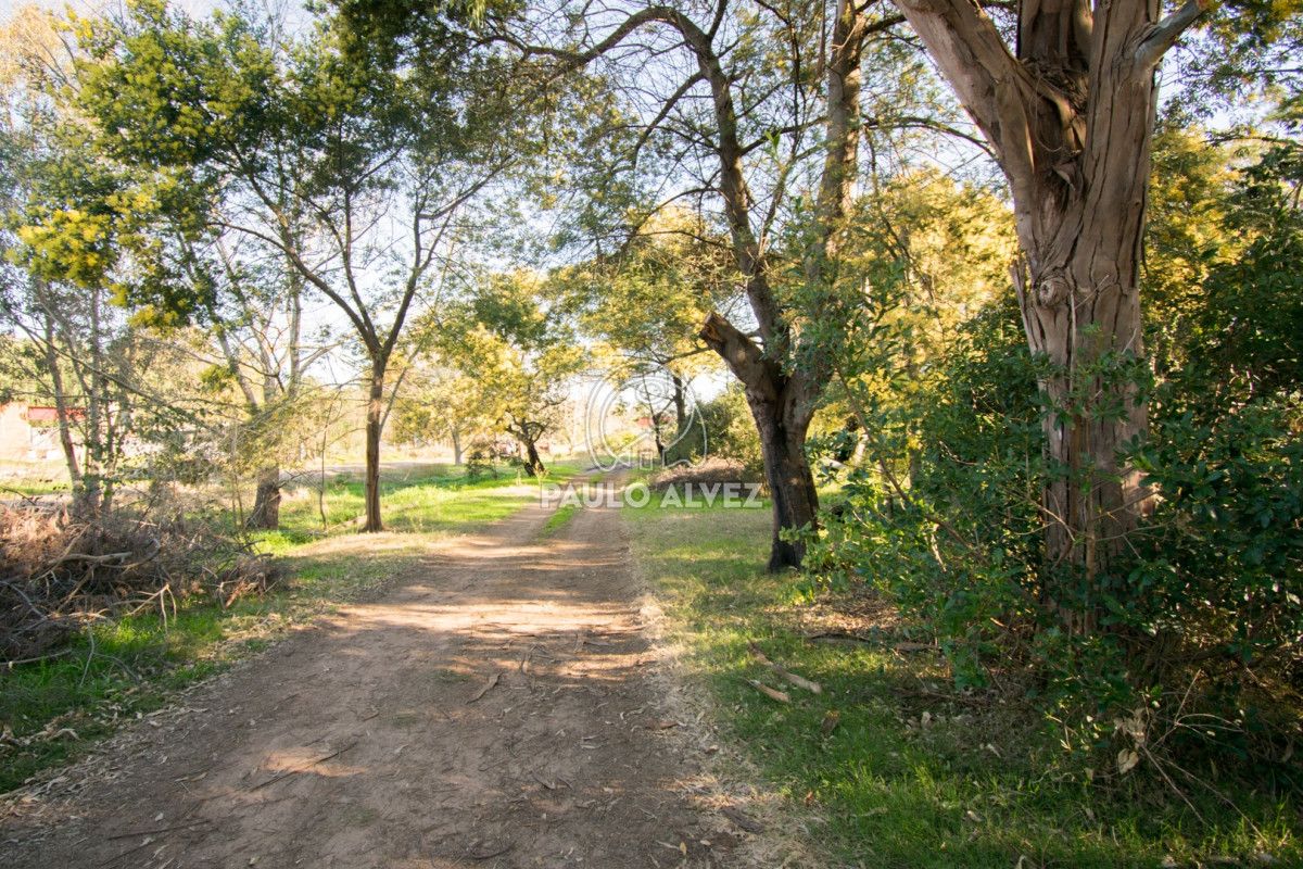 Piriápolis - GoPunta - Portal Inmobiliario de Punta del Este - Maldonado