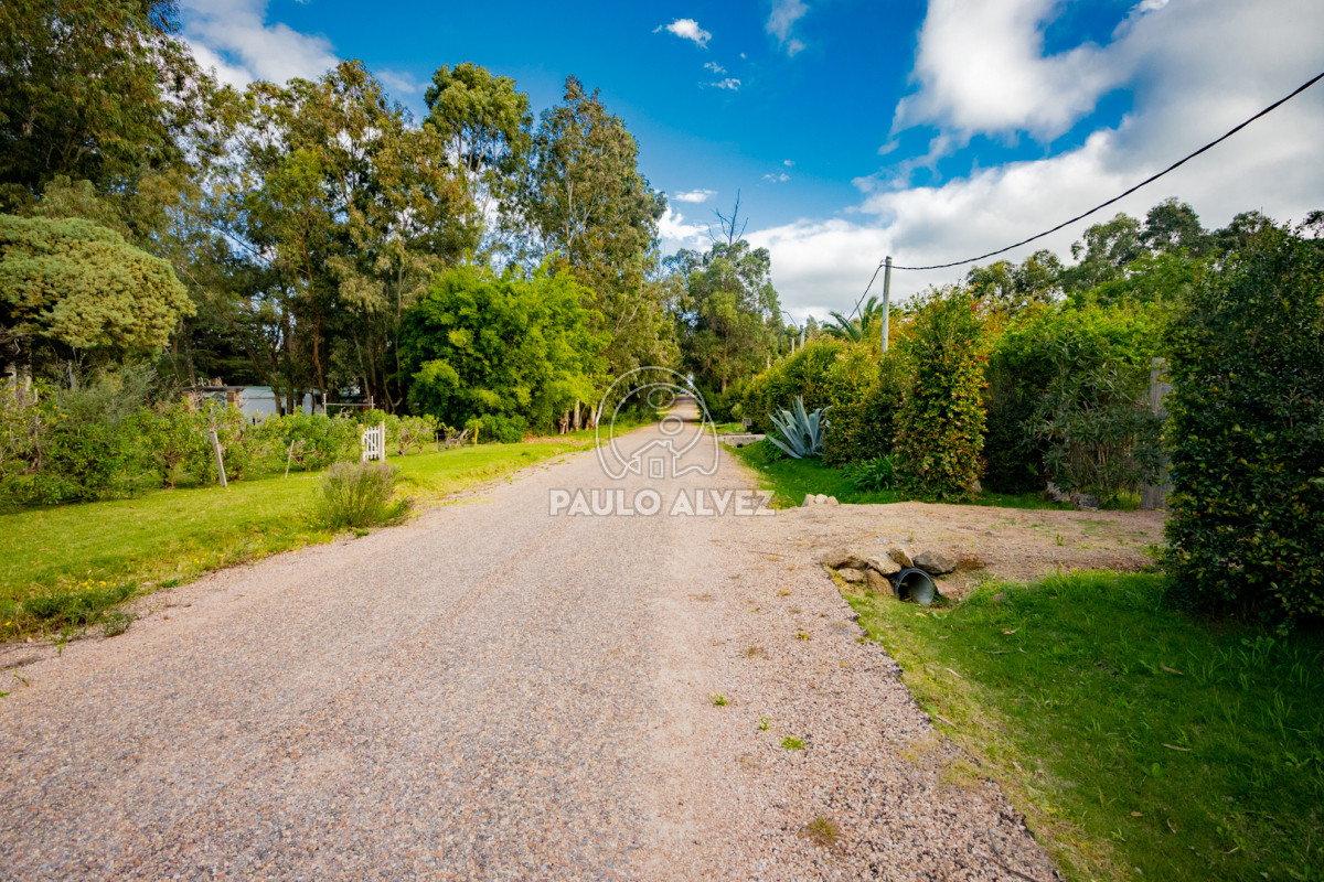 Piriápolis - GoPunta - Portal Inmobiliario de Punta del Este - Maldonado