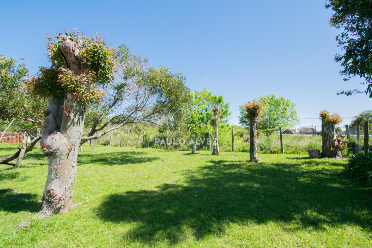 Piriápolis - GoPunta - Portal Inmobiliario de Punta del Este - Maldonado