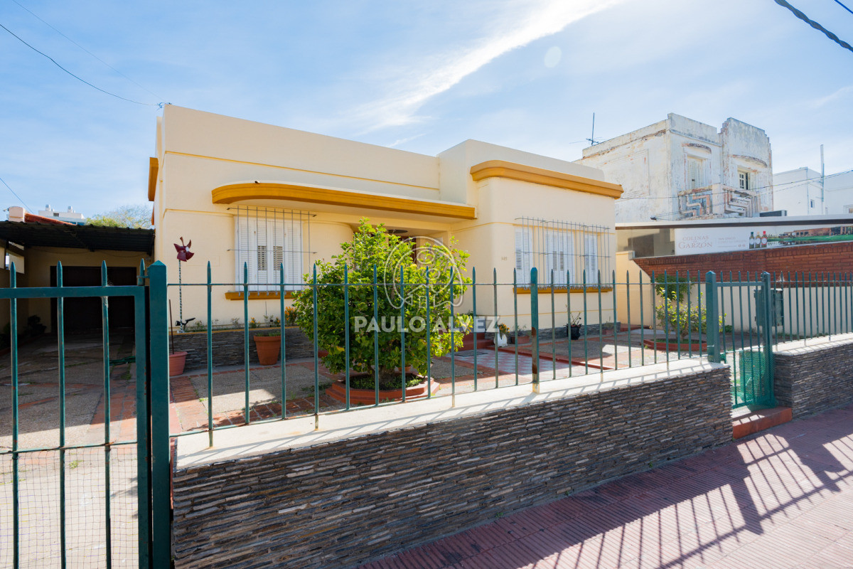 Centro - GoPunta - Portal Inmobiliario de Punta del Este - Maldonado