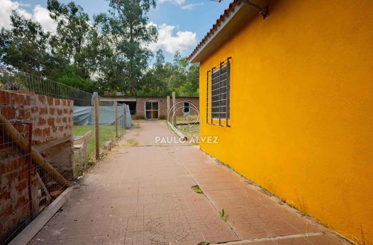 Bella Vista - GoPunta - Portal Inmobiliario de Punta del Este - Maldonado