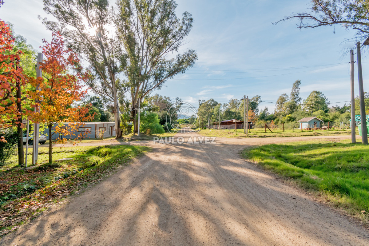 Solis - GoPunta - Portal Inmobiliario de Punta del Este - Maldonado