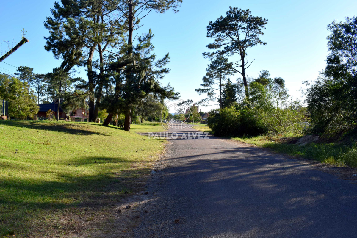 Piriápolis - GoPunta - Portal Inmobiliario de Punta del Este - Maldonado