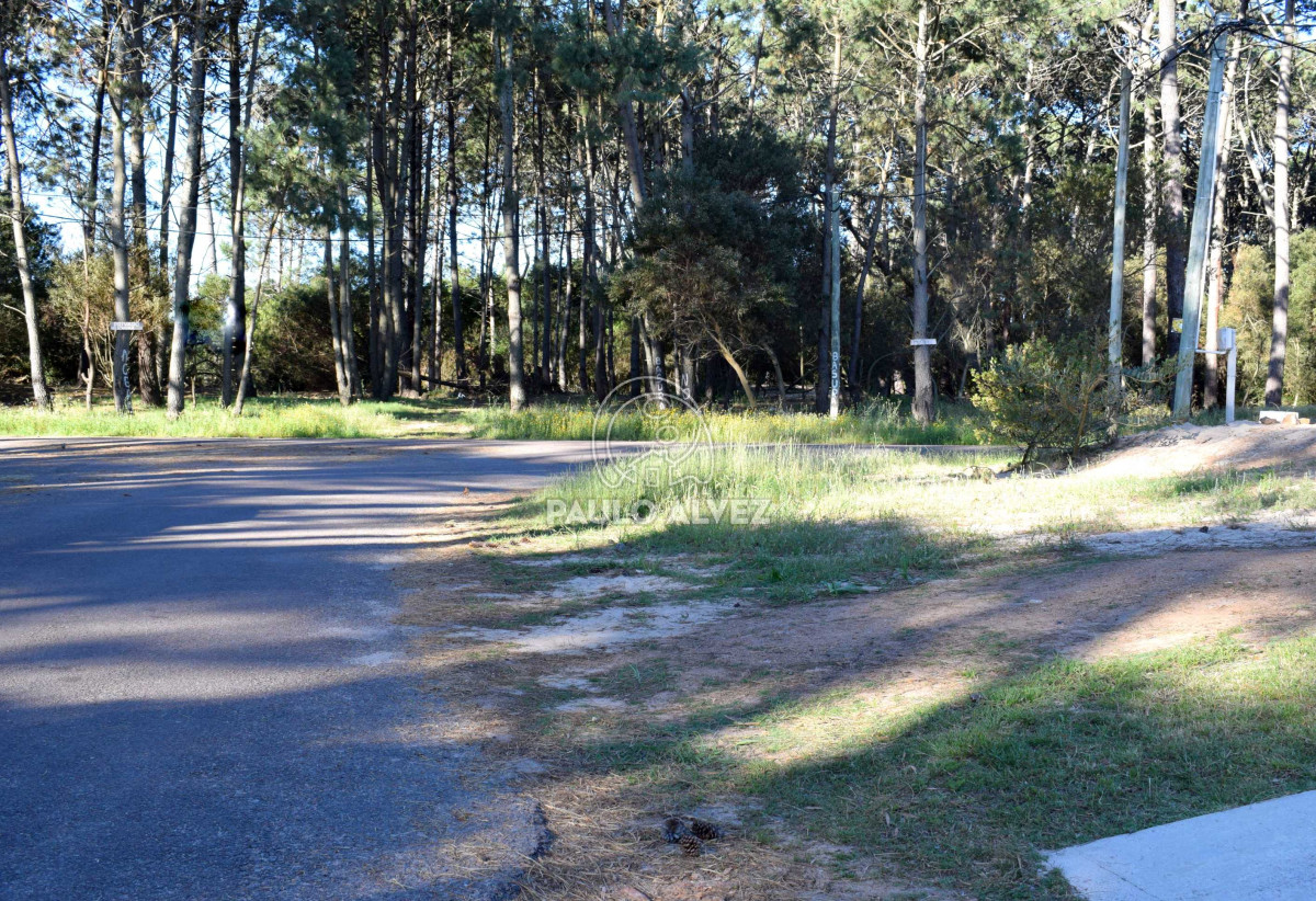 Piriápolis - GoPunta - Portal Inmobiliario de Punta del Este - Maldonado