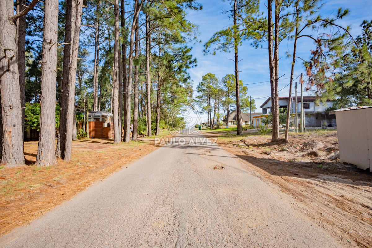 Portales - GoPunta - Portal Inmobiliario de Punta del Este - Maldonado