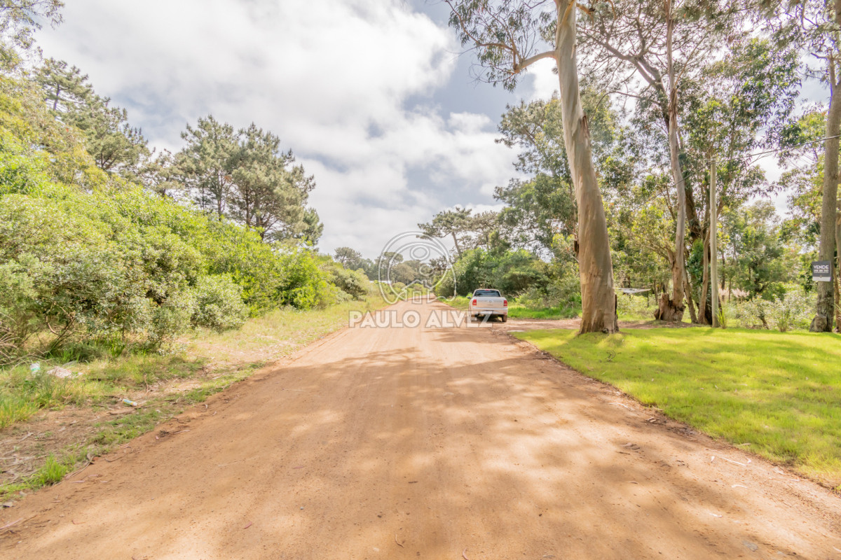 Punta Colorada - GoPunta - Portal Inmobiliario de Punta del Este - Maldonado
