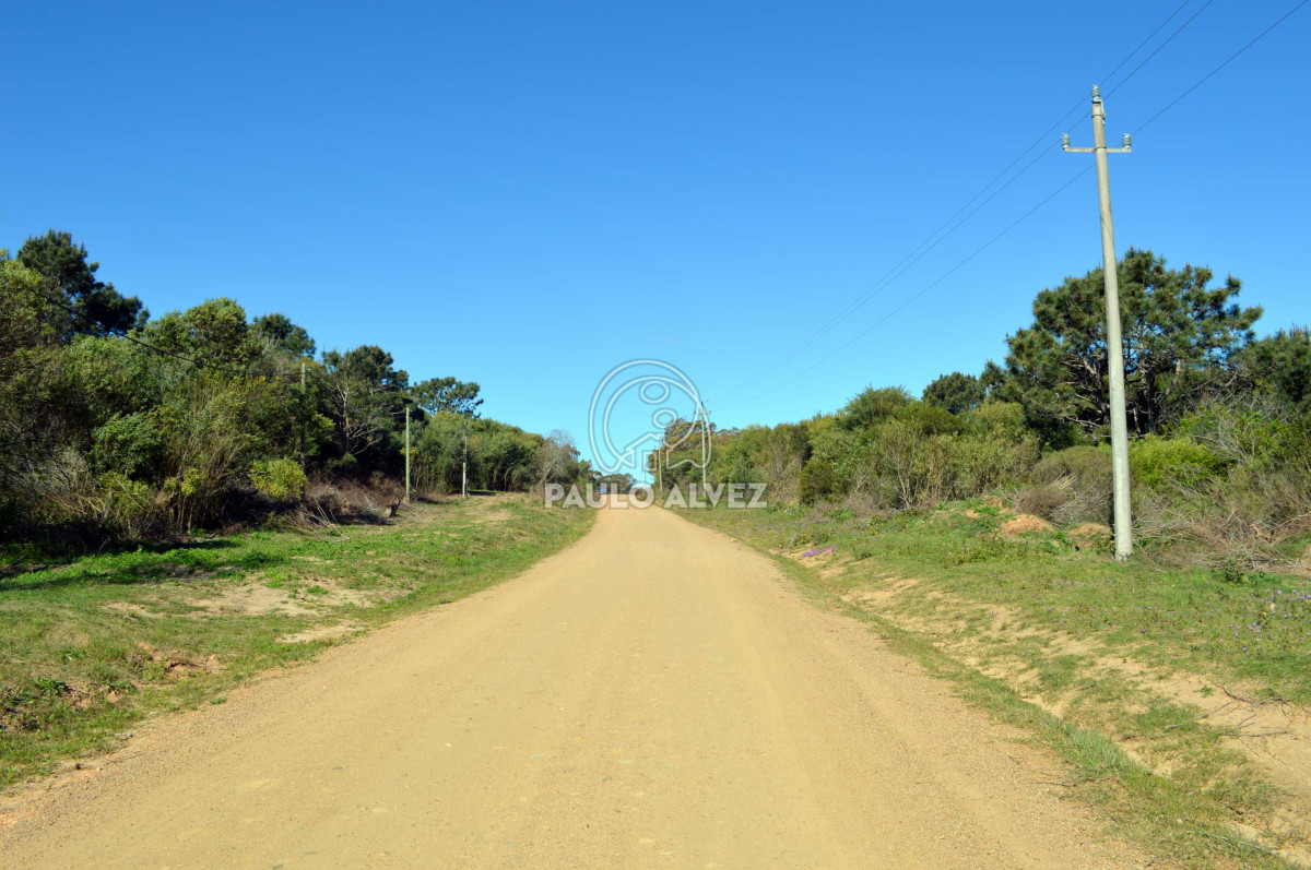 Punta Colorada - GoPunta - Portal Inmobiliario de Punta del Este - Maldonado