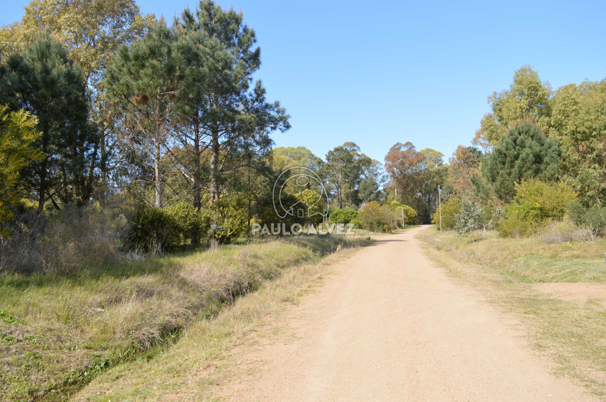 Punta Colorada - GoPunta - Portal Inmobiliario de Punta del Este - Maldonado