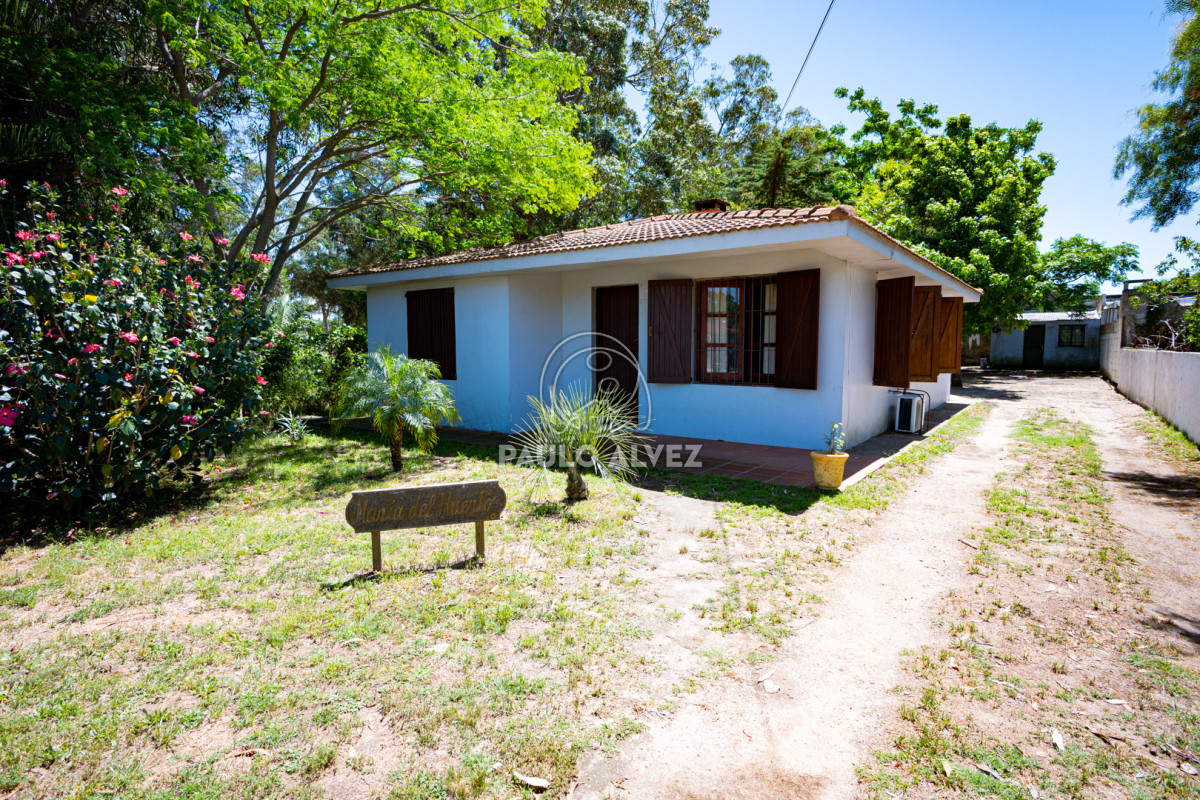 Centro - GoPunta - Portal Inmobiliario de Punta del Este - Maldonado