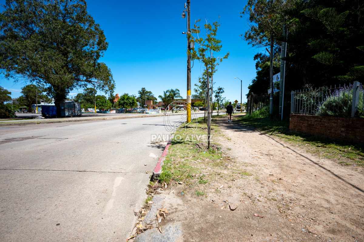 Centro - GoPunta - Portal Inmobiliario de Punta del Este - Maldonado