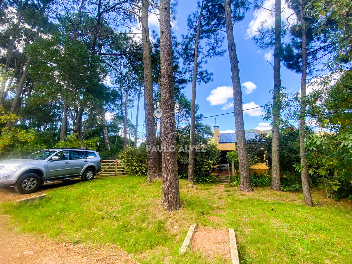 Country - GoPunta - Portal Inmobiliario de Punta del Este - Maldonado