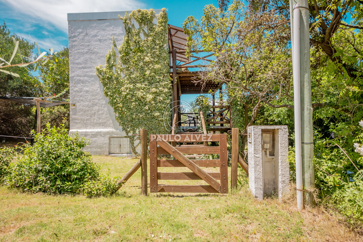 Punta Negra - GoPunta - Portal Inmobiliario de Punta del Este - Maldonado