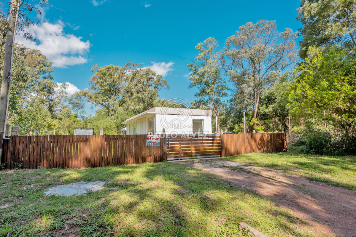 Sauce de Portezuelo - GoPunta - Portal Inmobiliario de Punta del Este - Maldonado